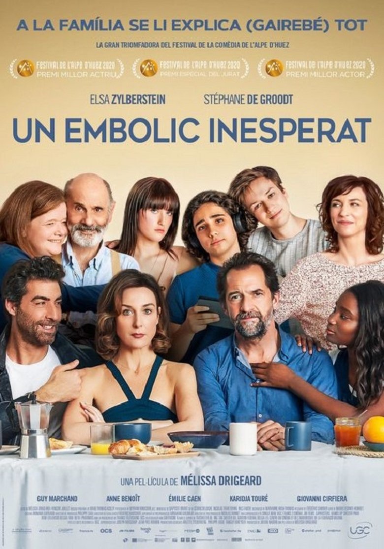 Imatge de Un embolic inesperat