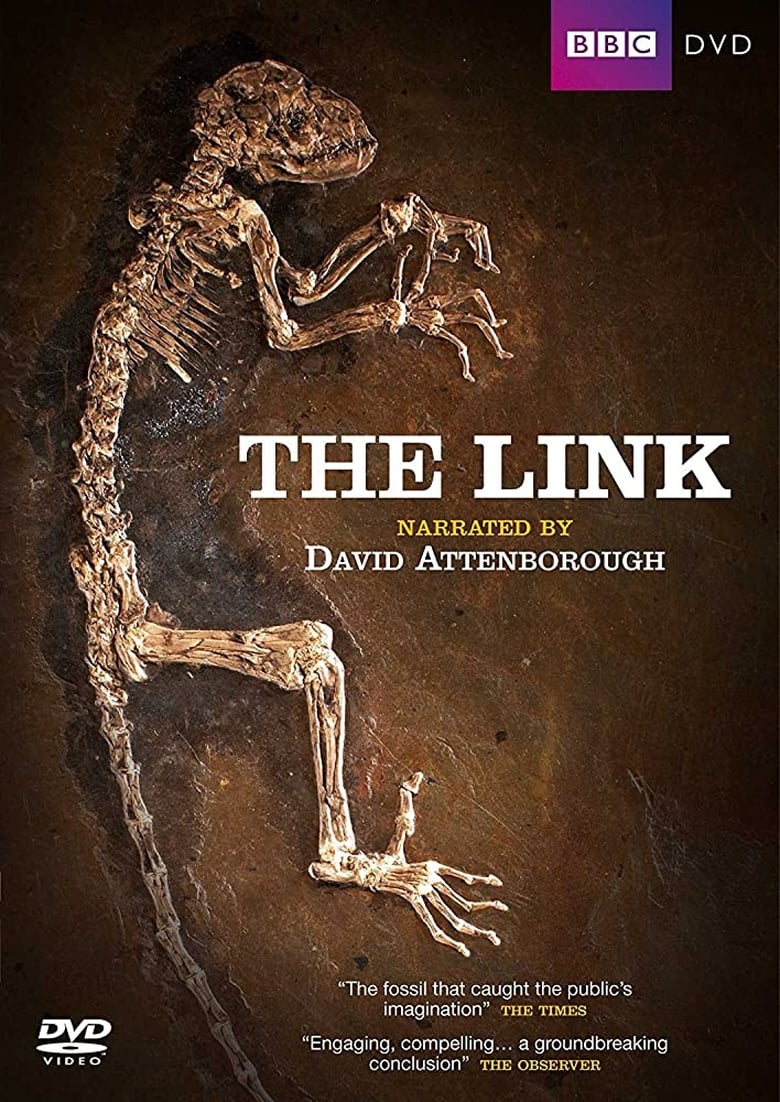 Uncovering Our Earliest Ancestor: The Link (2009)
