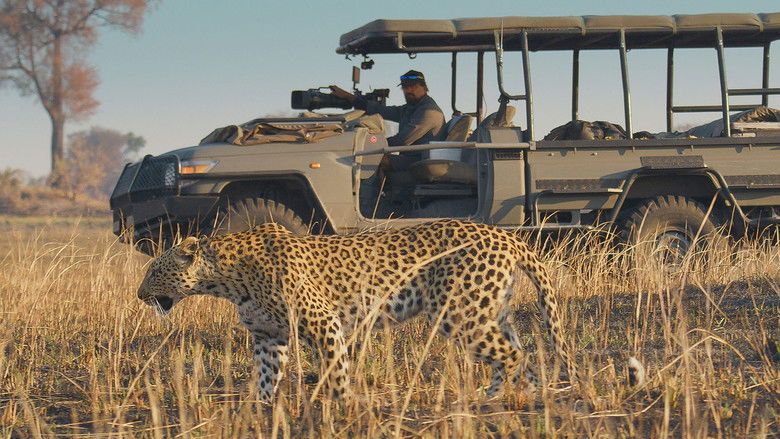 Still image for Big Cats 24/7 season 1 episode 2: Episode 2 Still image for Big Cats 24/7 season 1 episode 2: Episode 2