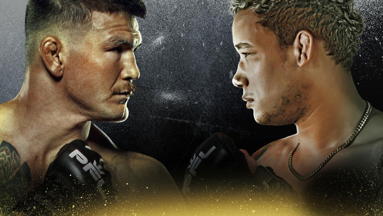 Gallery image from x7PR8THO1bnecFA7j9C6yUXLNqf.jpg