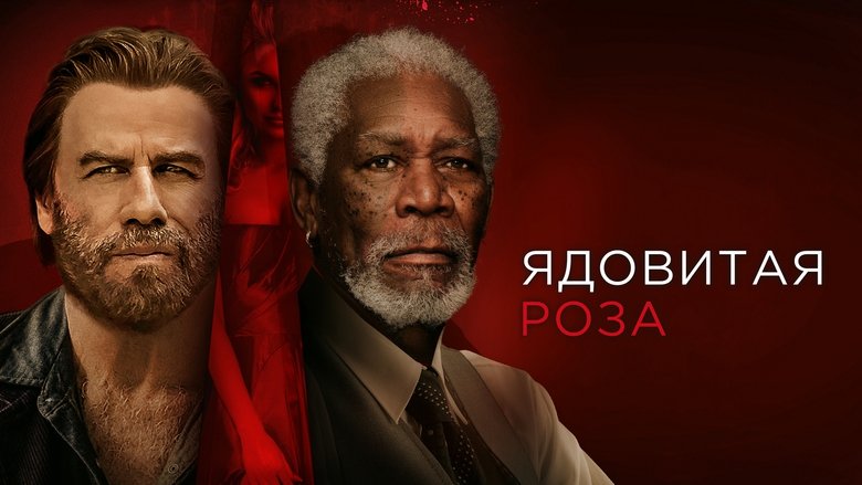 Gallery image from x7X0RuTKFz99slwPITn0SG2t25e.jpg