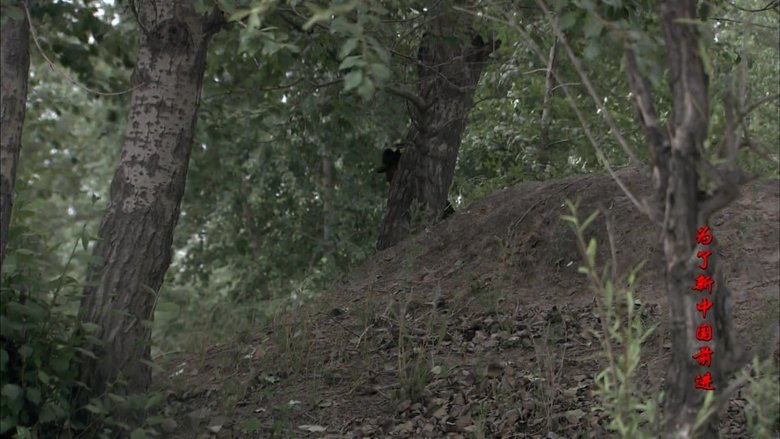Episode still