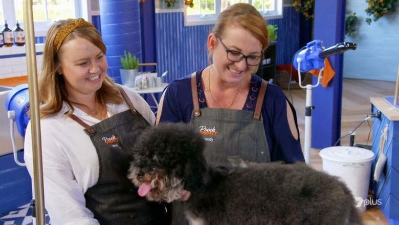 Still image for Pooch Perfect season 1 episode 1: Episode 1 Still image for Pooch Perfect season 1 episode 1: Episode 1