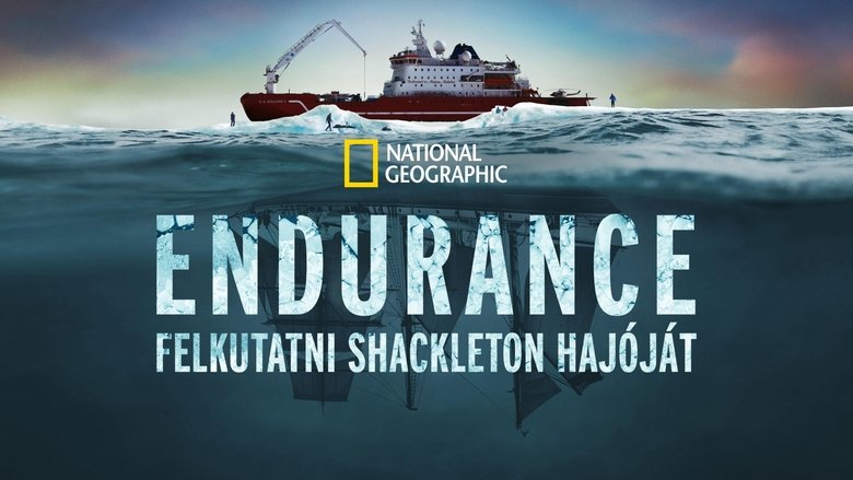 Endurance (2024)