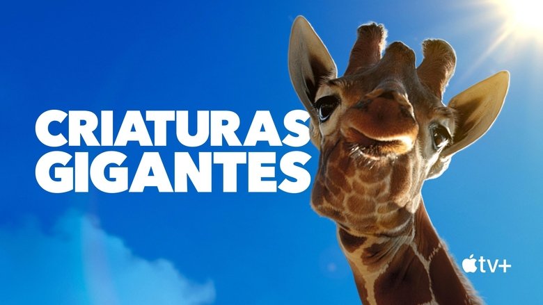 Gallery image from x9WncXiSfLtU2nVwT3RHbR25HQ7.jpg