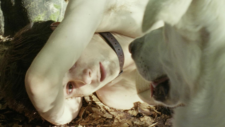 Frame from 포기는 나쁜 놈