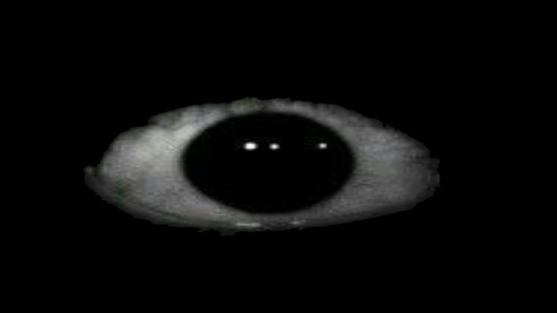 Imatge de MEDO URBANO