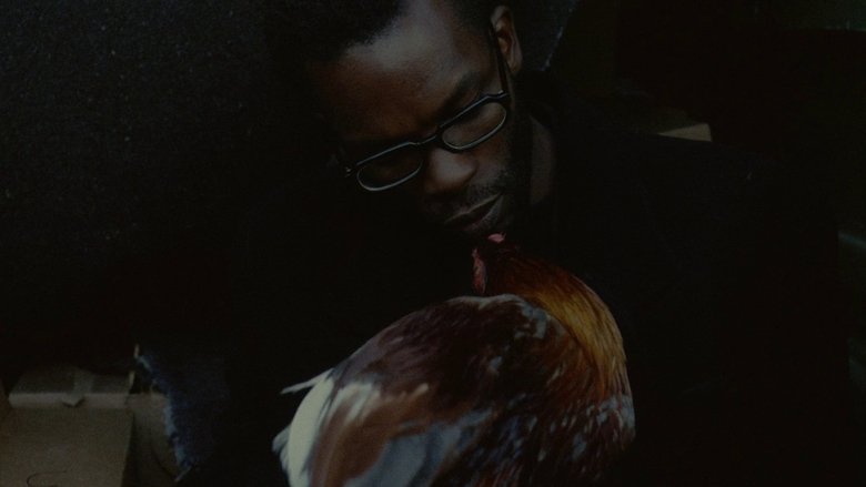 Gallery image from xAYeSNR3OoM9iC7o4R4RGsQ7Mr6.jpg