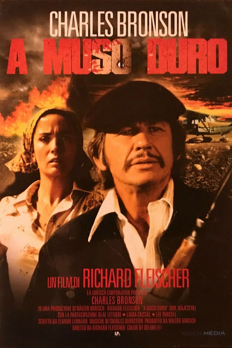 A muso duro (1974)