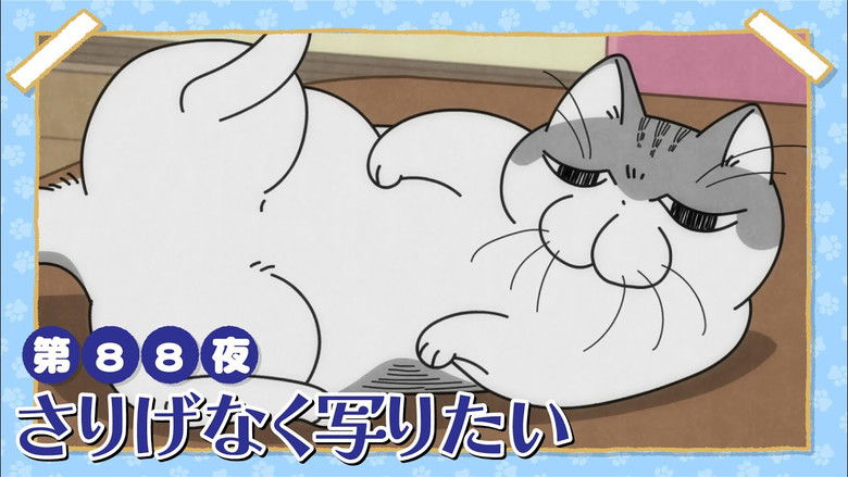 Still image for Nights with a Cat season 1 episode 88: Night 88: He Wants to Sneak Into the Shot