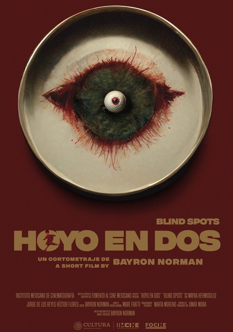 Imatge de Hoyo en dos