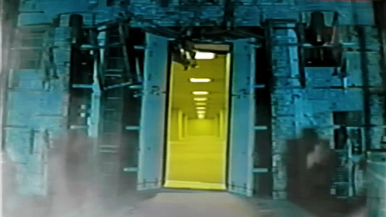 Backrooms: First Contact