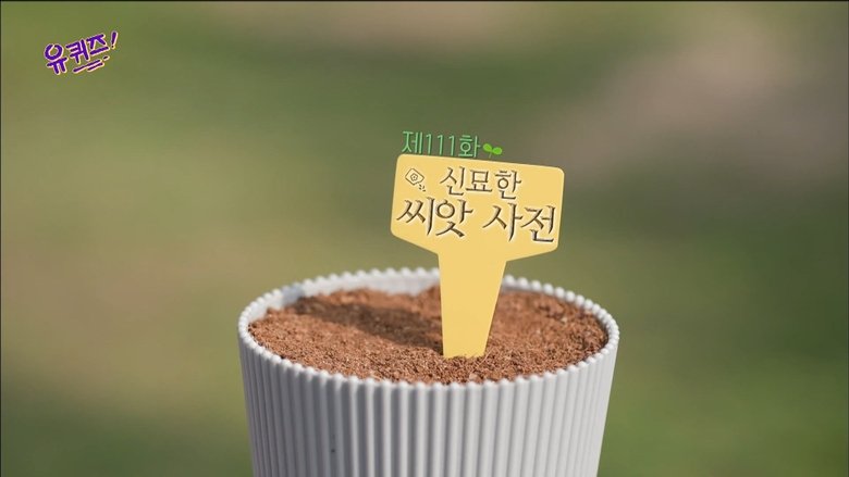 Still image for You Quiz on the Block season 1 episode 111: Episode 111 Still image for You Quiz on the Block season 1 episode 111: Episode 111