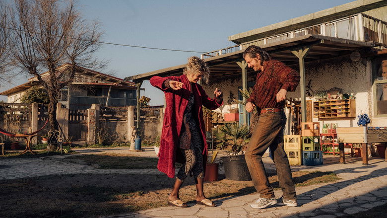 Медиа изображение