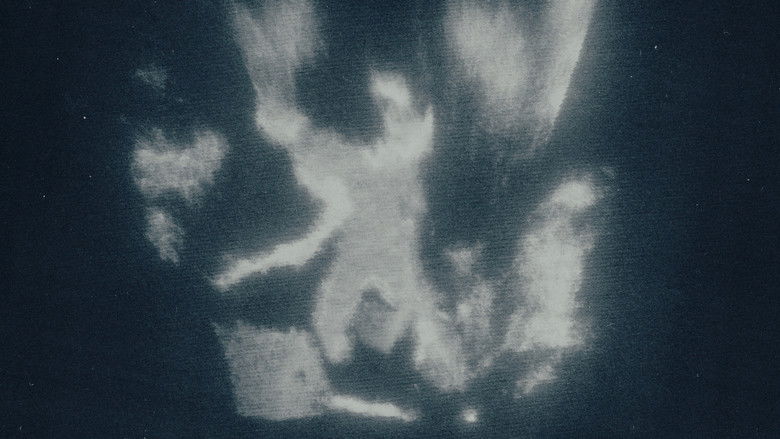 Gallery image from xDYlNLivVM4zyNDsZZpTeUAewCw.jpg