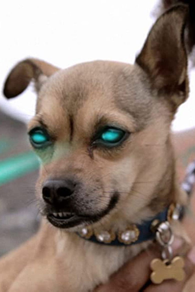 Imatge de We Only Sleep on Xanny Bars and Then We Don't Dream