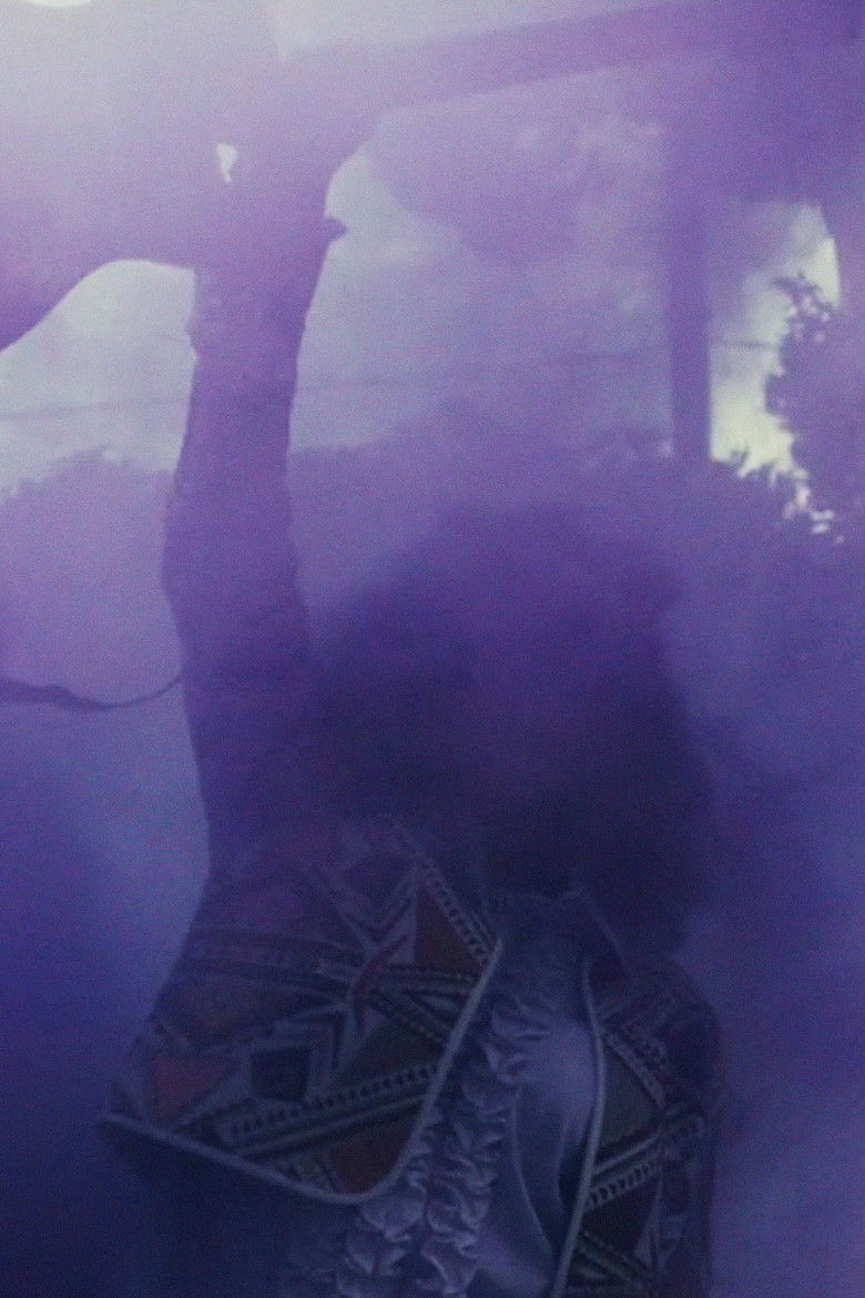 Imatge de Jimi Could Have Fallen from the Sky