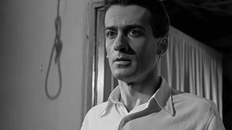 Gallery image from xFhEBy4L9PfpEFy29a8BIMBxzK3.jpg