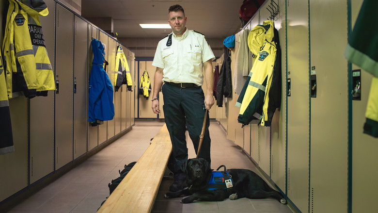 Still image for Les diplômés Mira season 1 episode 6: Episode 6 Still image for Les diplômés Mira season 1 episode 6: Episode 6