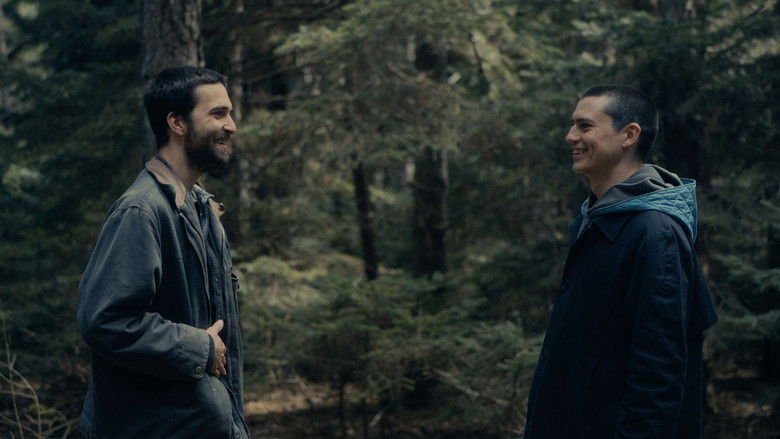 Image d'arrière-plan 2 du film Το Οτιδήποτε