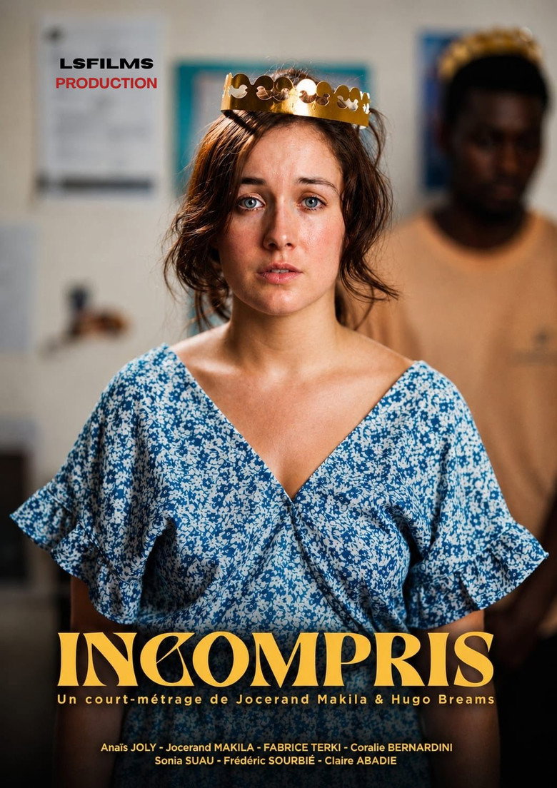 Imatge de Incompris