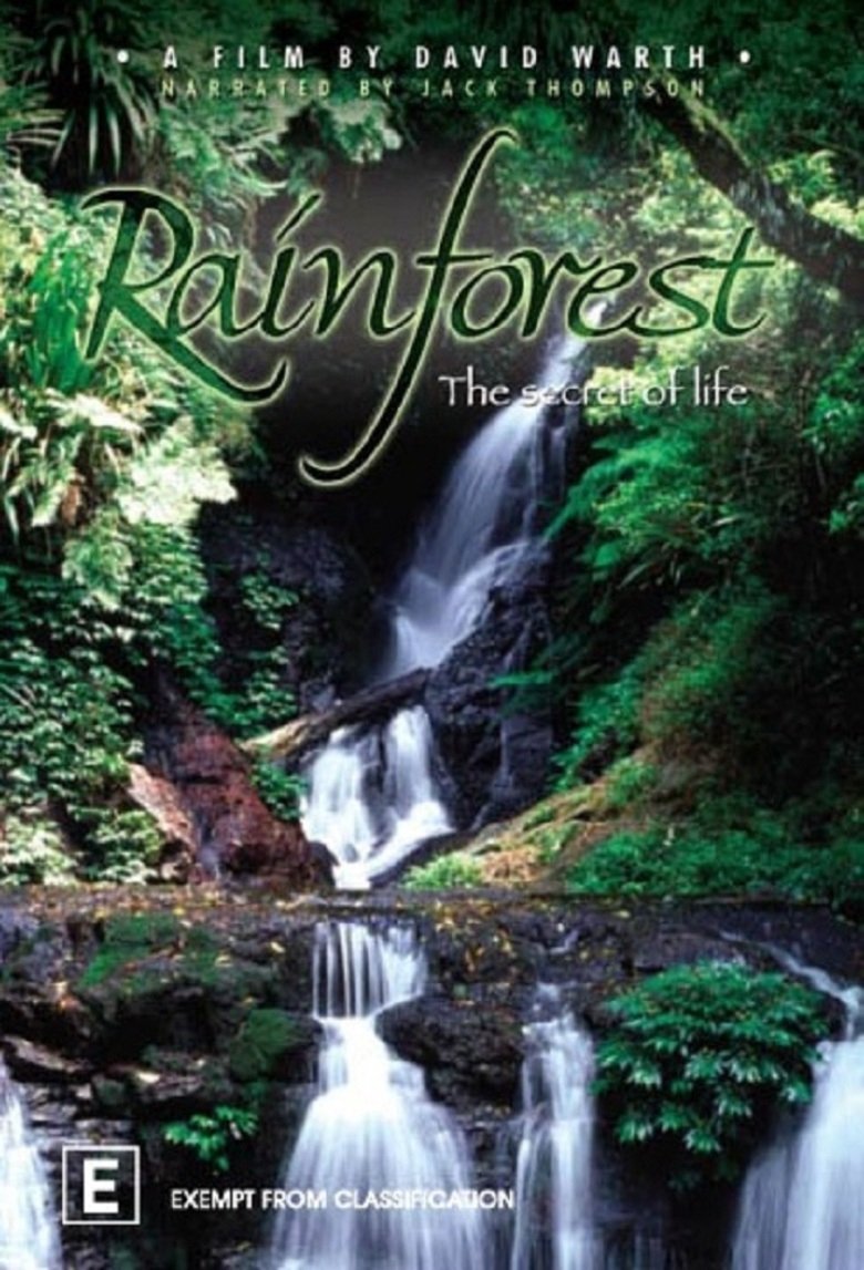Rainforest: The Secret Of Life main poster