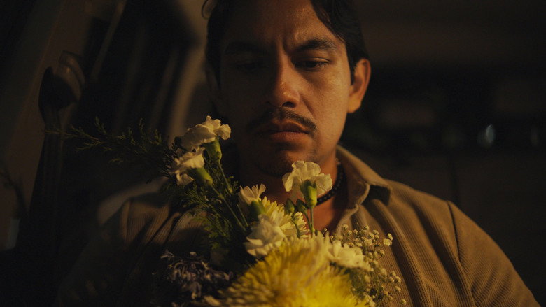 Tailored for you image 3