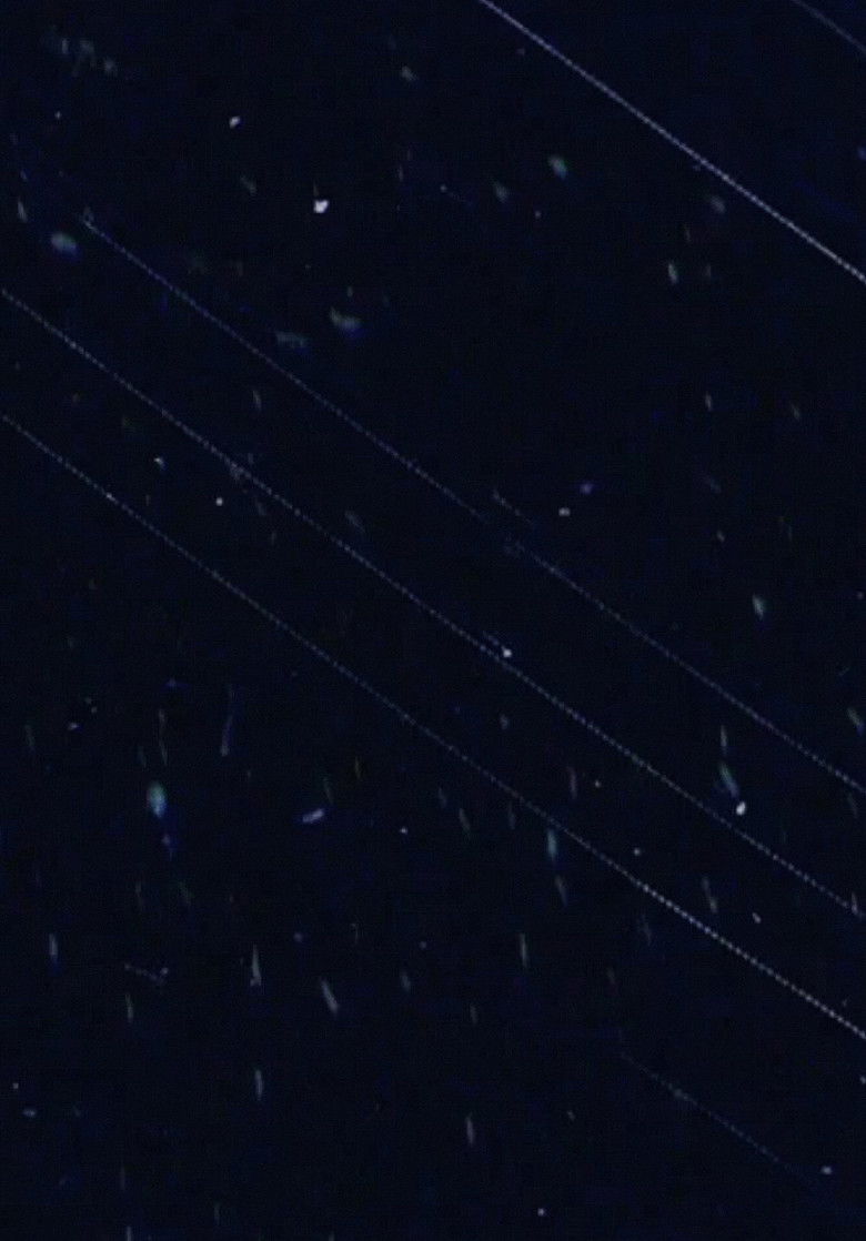 Imatge de The Seasons