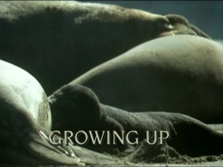 Still from 生存挑战 - 第 1 集 2