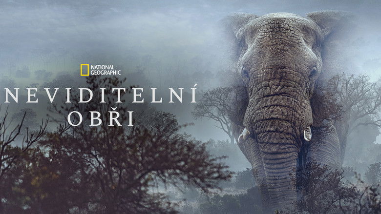 Xicbqgqyapsrtomwl2q8v7cbuh0