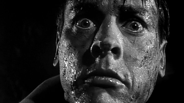 Invasion of the Body Snatchers (1956)