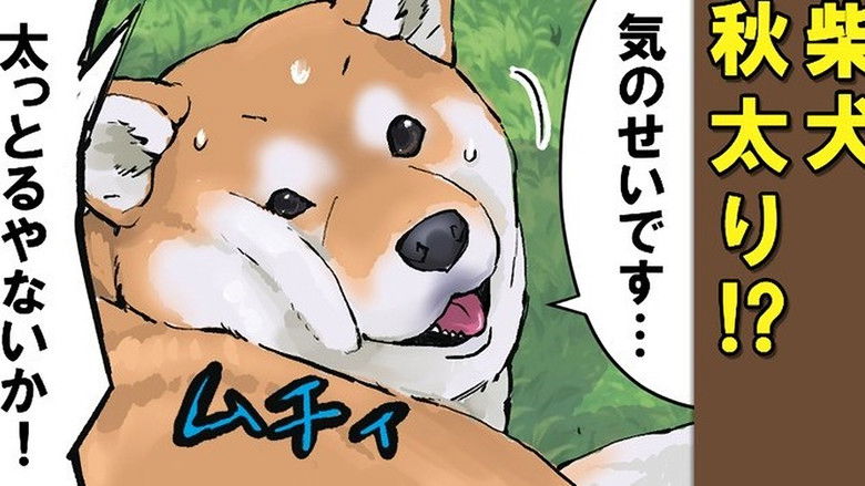 Still image for Doomsday with My Dog season 1 episode 53: Shedding Season / Seasonal Wear / Sealed Away Still image for Doomsday with My Dog season 1 episode 53: Shedding Season / Seasonal Wear / Sealed Away