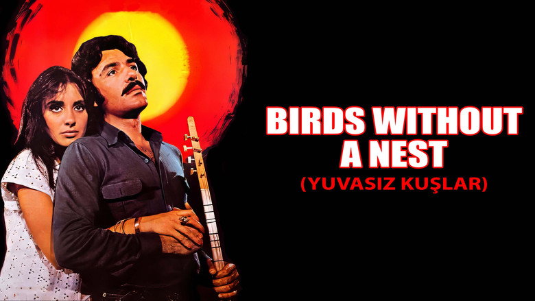 Still from Yuvasız Kuşlar