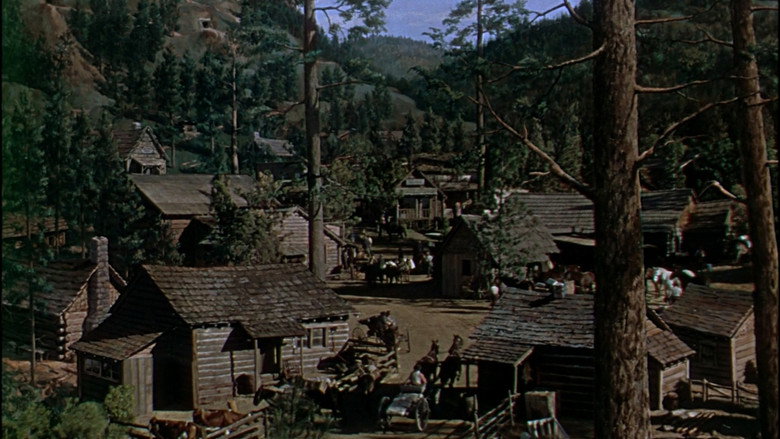 Gallery image from xKNPj2SX7l1d4JFSW3Op14IQ8C3.jpg