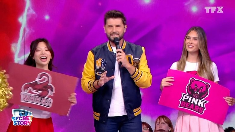 Secret Story Saison 13 Épisode 33 Voirfilms