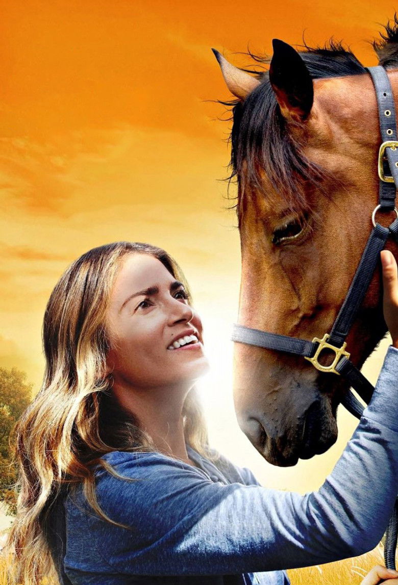 Imatge de A Sunday Horse