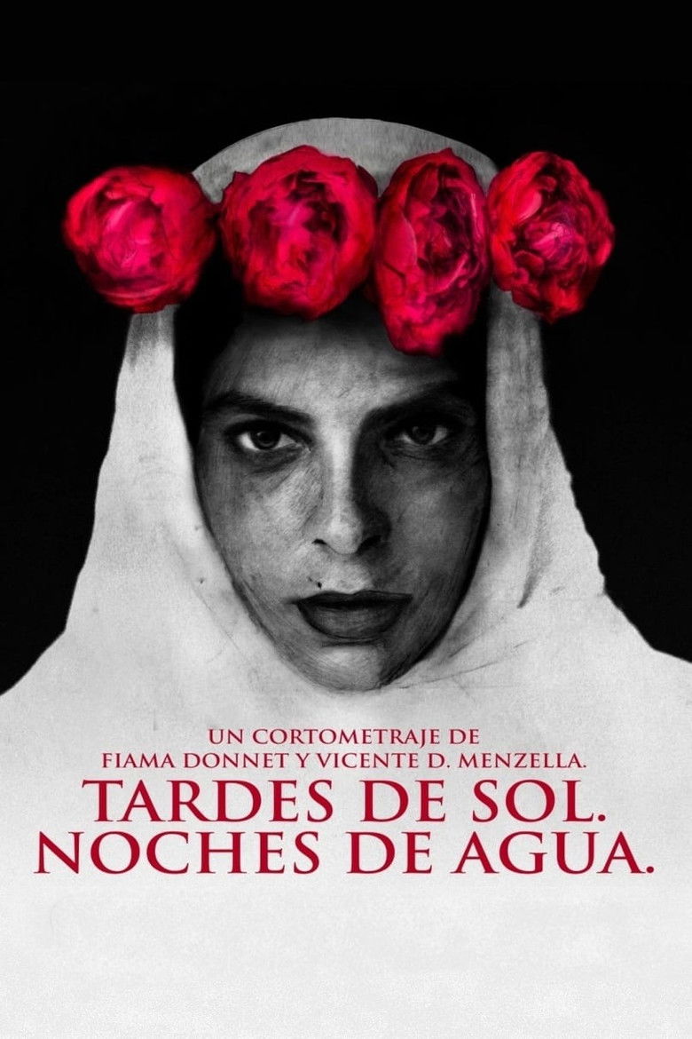 Imatge de Tardes de sol. Noches de agua.