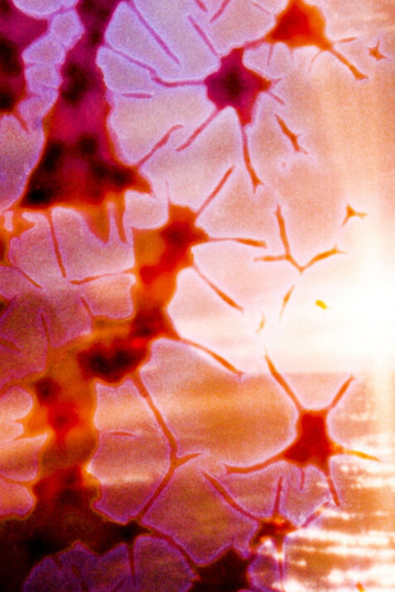 Imatge de Deepest Darkness, Flaming Sun