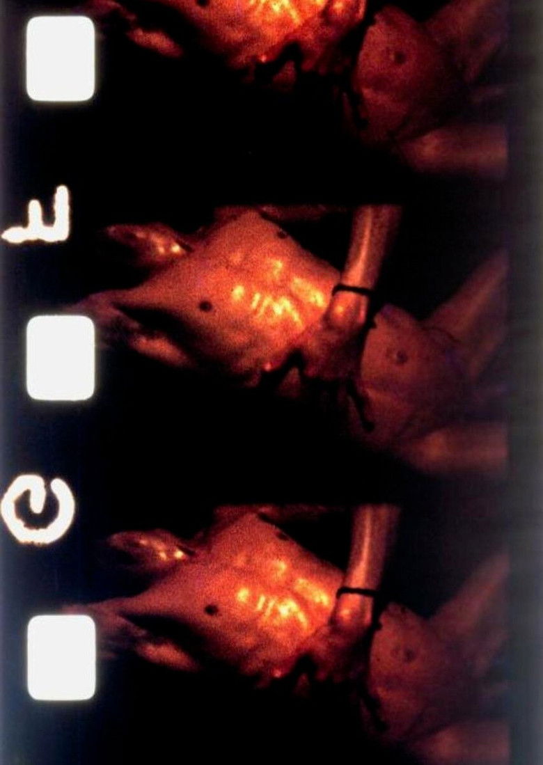 Imatge de Corps aboli