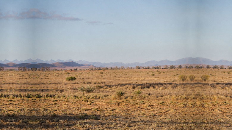 Backdrop de Wolf Creek Collection