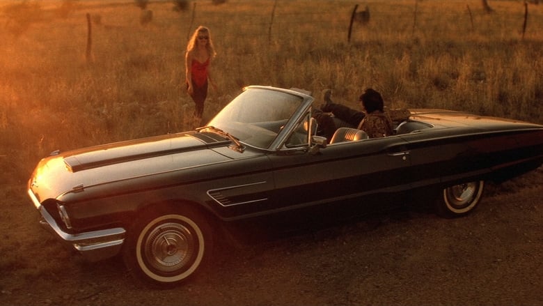 Wild at Heart (1990)