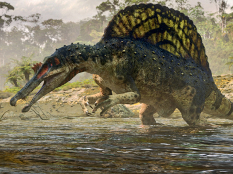 Still from Planet Dinosaur - Season 1 Episode 1