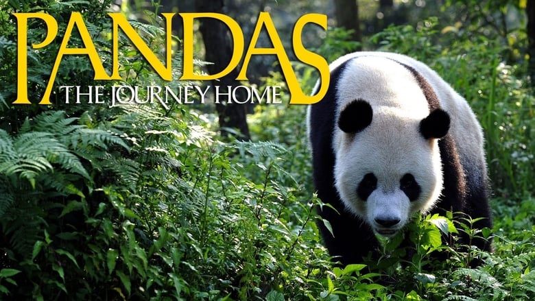 Pandas: The Journey Home 2014 123movies