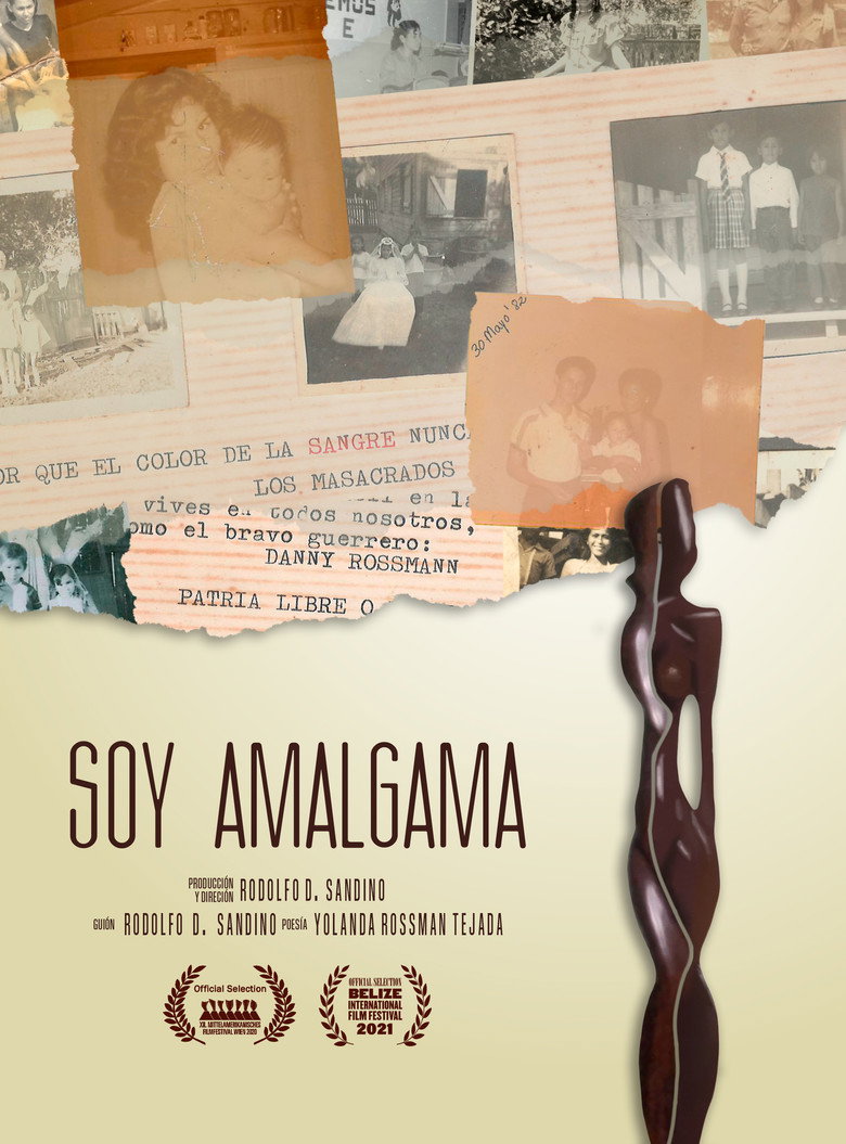Imatge de Soy Amalgama