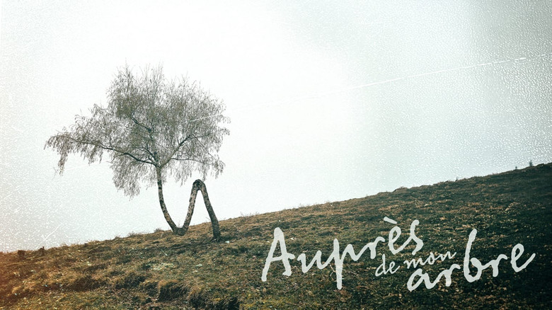 Auprès de mon arbre image 1