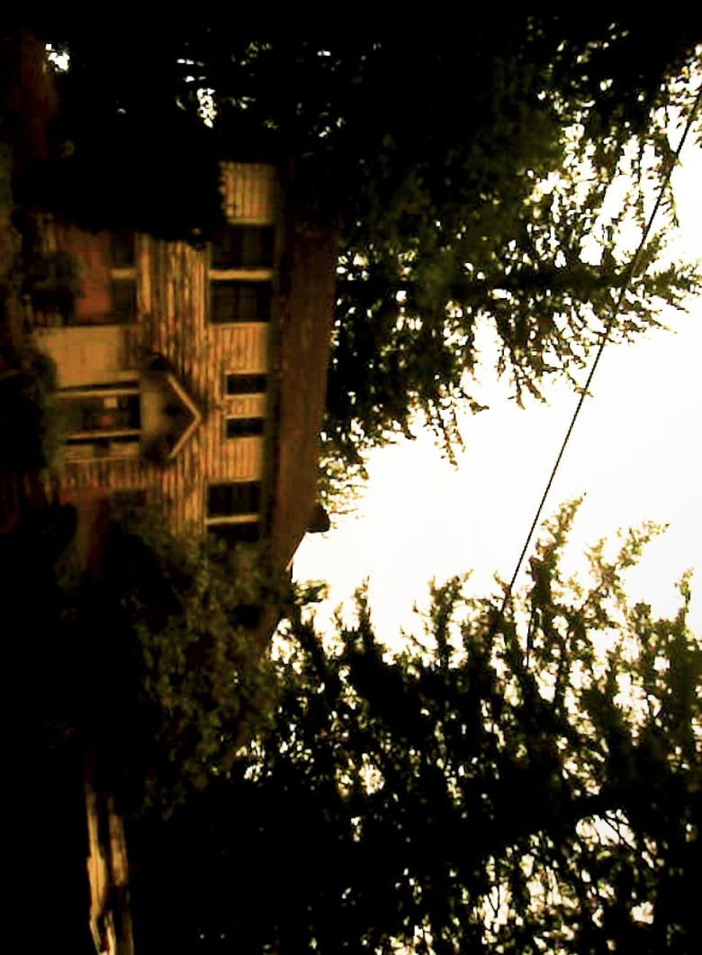 Imatge de evan's house