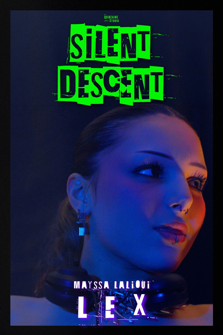 Imatge de Silent Descent