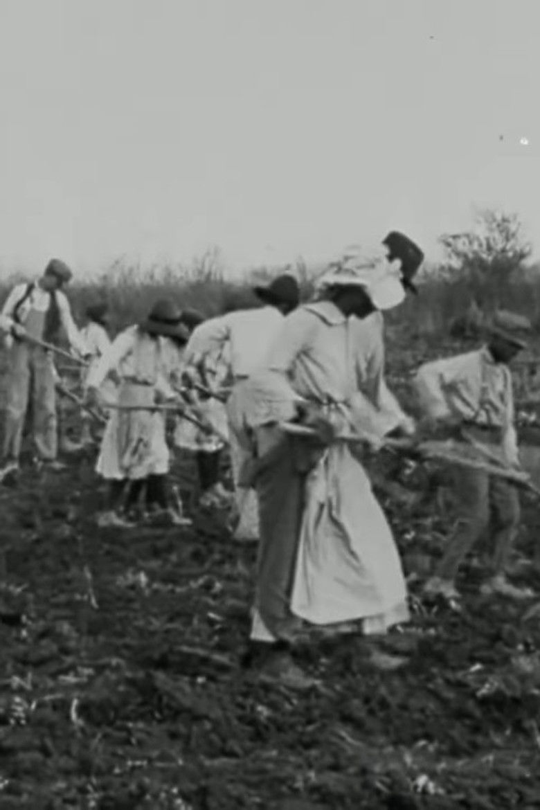 Imatge de Sugar. Pleasure, but at what price?