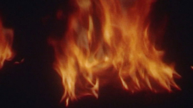 Gallery image from xT9NVHdYdnfkbmnYy7M6wB3I9Yh.jpg