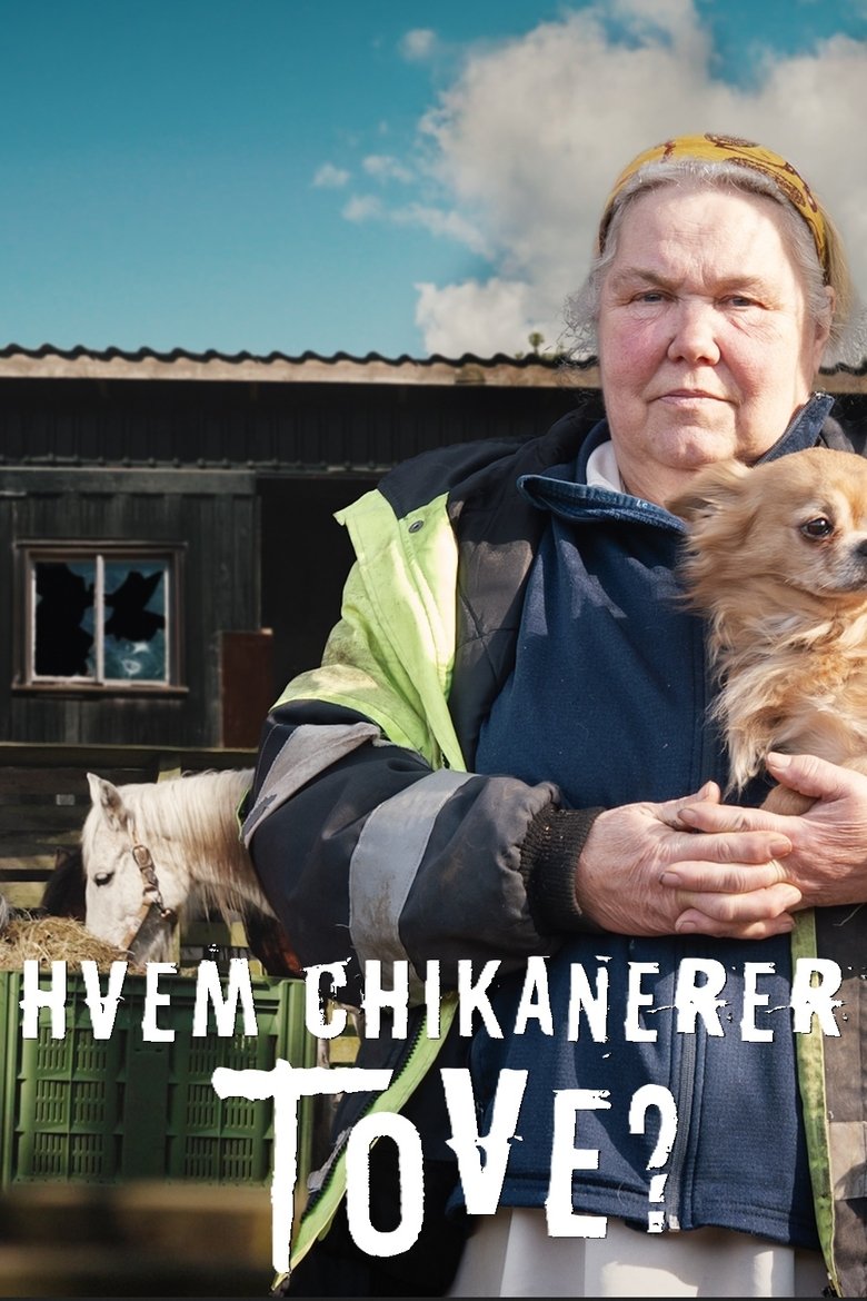 Hvem chikanerer Tove? poster
